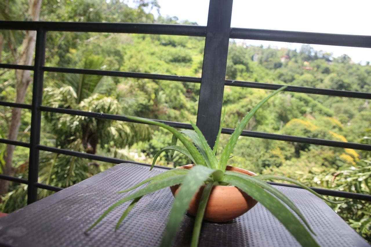Rawana Mountain View Homestay Елла Екстер'єр фото